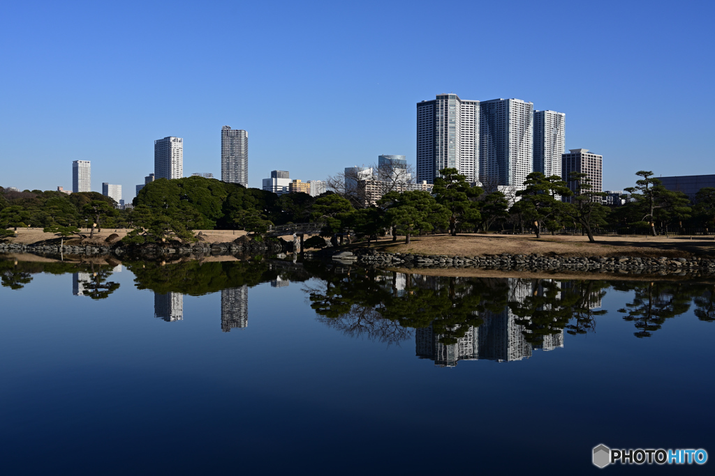松林