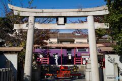 神社から駅を望む