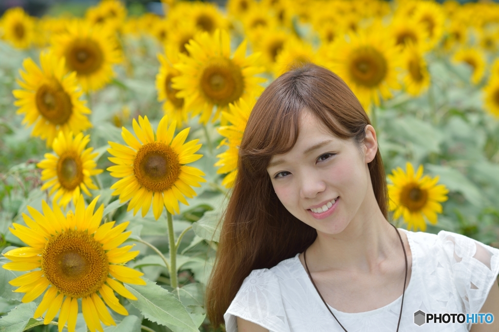 ひまわり畑とべっぴんさん