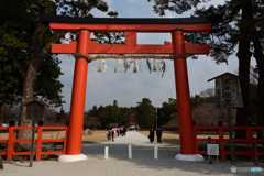 上賀茂神社 壱