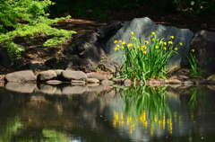 日本庭園