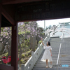 狭山不動尊7