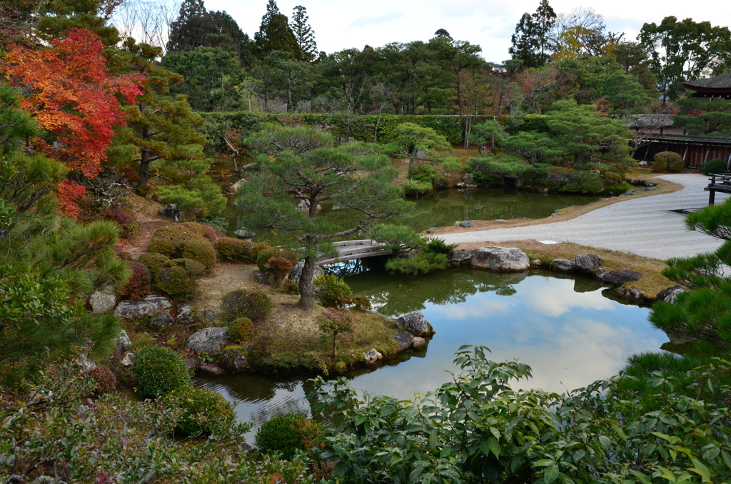 仁和寺北庭 By ニーナ Id 写真共有サイト Photohito