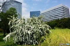 たまや～～～(^^♪