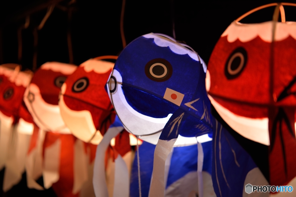 金魚ちょうちん