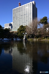 鶴の池４
