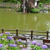 雨の松涛公園