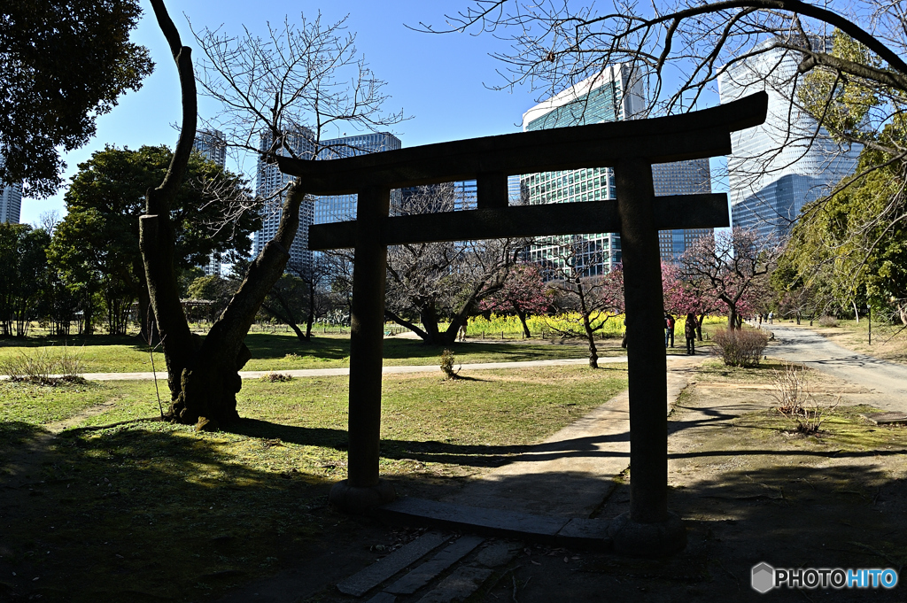 神社から
