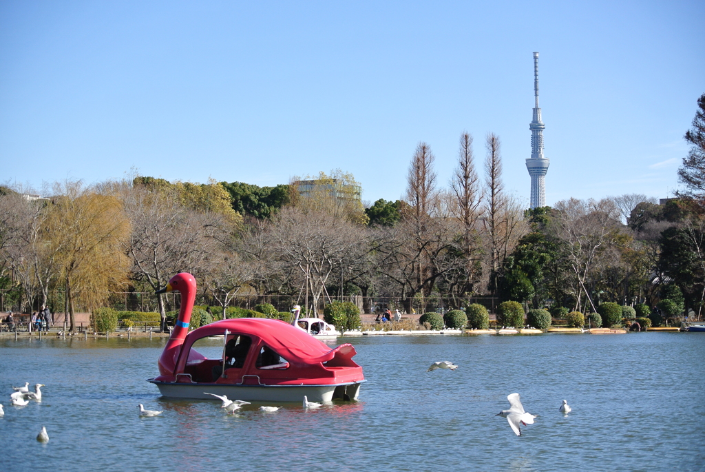 不忍池の赤鳥