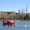 不忍池の赤鳥