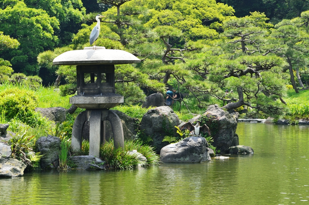 上下関係
