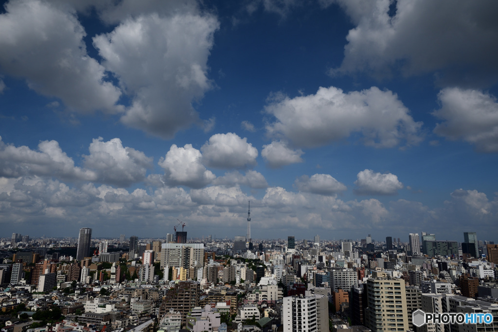 空4