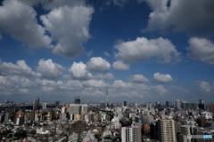 空4