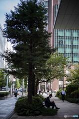 銀ぶら2