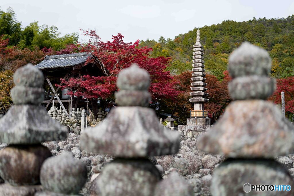 あだし野念仏寺2