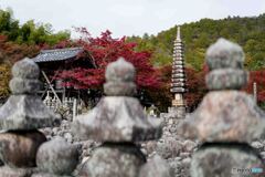あだし野念仏寺2