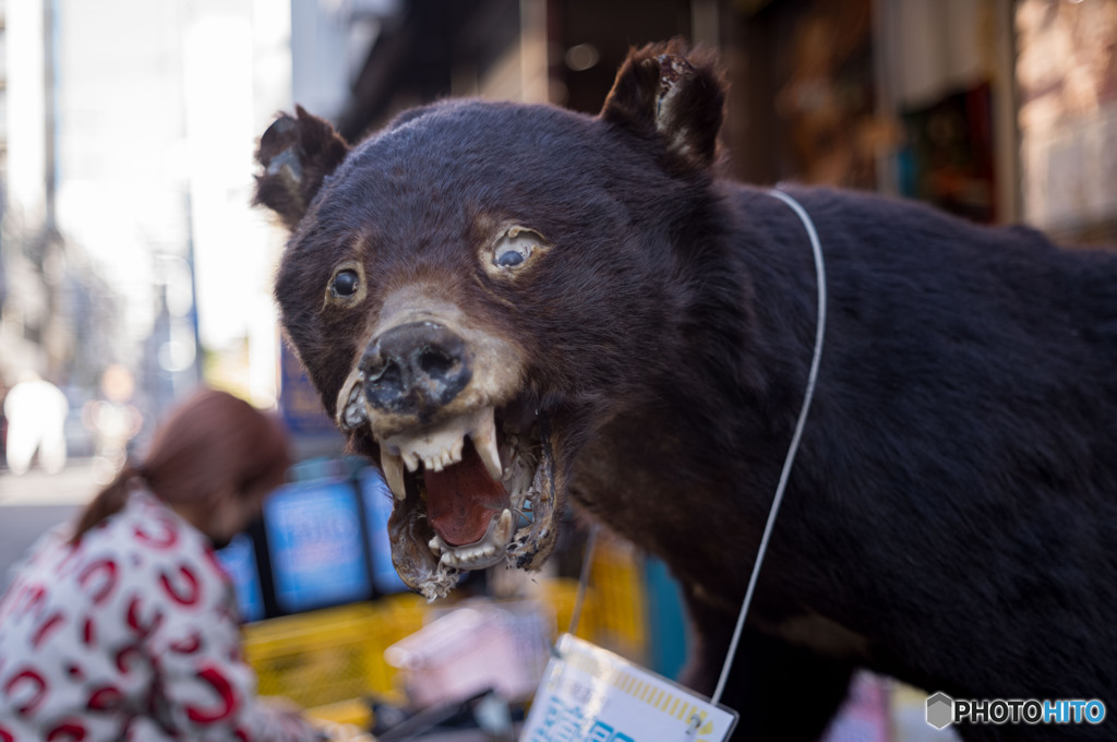 皮屋さんの店先