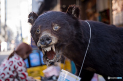 皮屋さんの店先