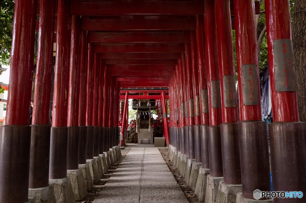 結構長い鳥居