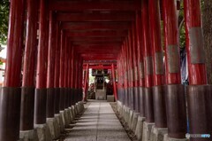 結構長い鳥居