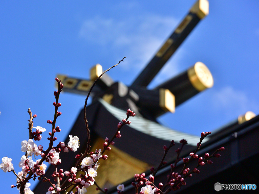 湯島天神１