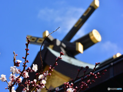 湯島天神１
