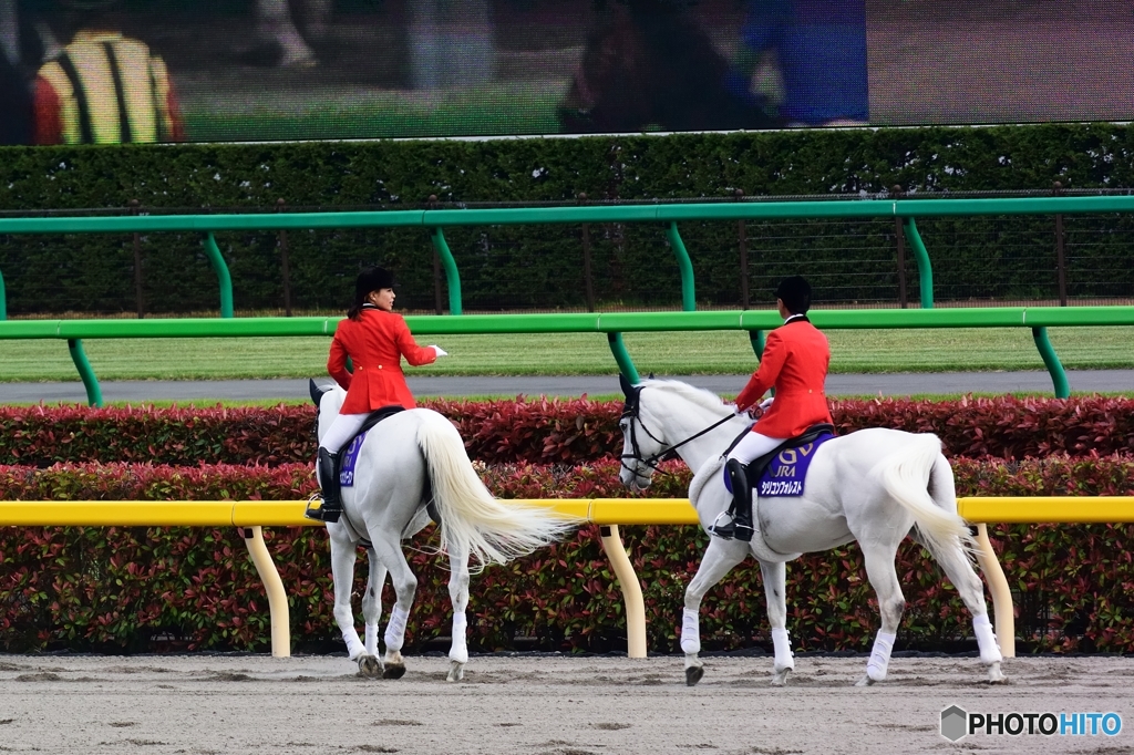 春の東京競馬１
