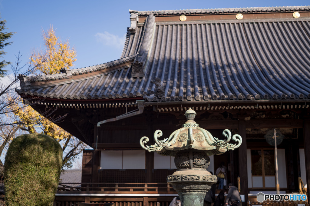 天井絵「叡嶽双龍」