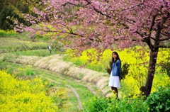 桜と菜の花とべっぴんさん