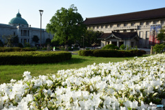 春の東京国立博物館