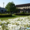 春の東京国立博物館