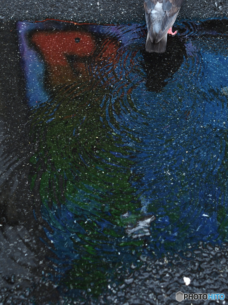 雨の門仲４