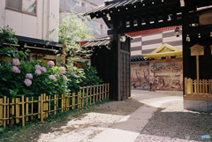 吉原神社