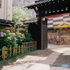 吉原神社