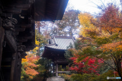 山門からの眺め