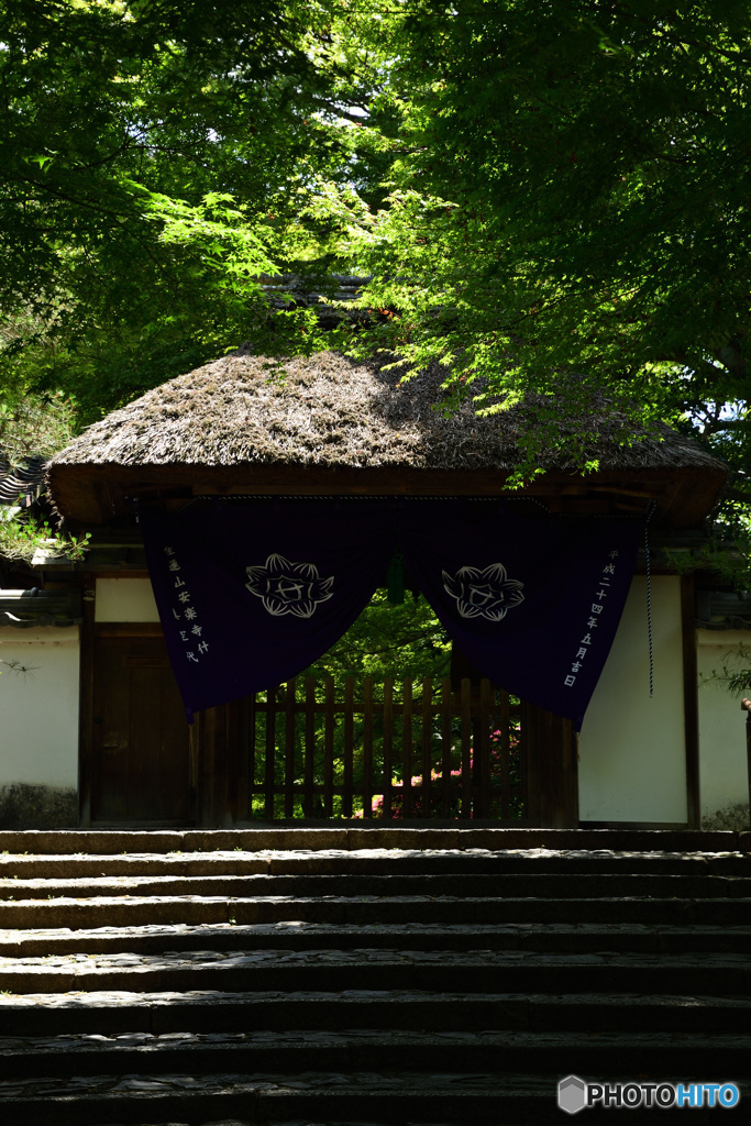 安楽寺