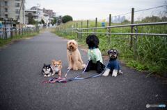 散歩