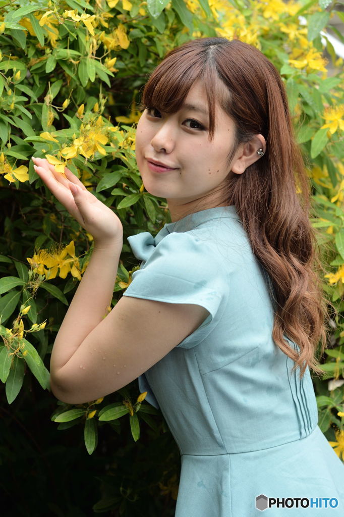 山吹を愛でる