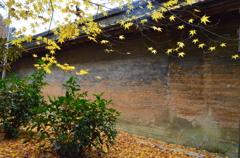 油土塀