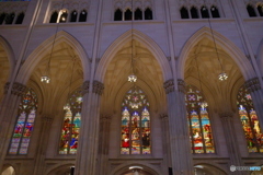St. Patrick's Cathedral 4
