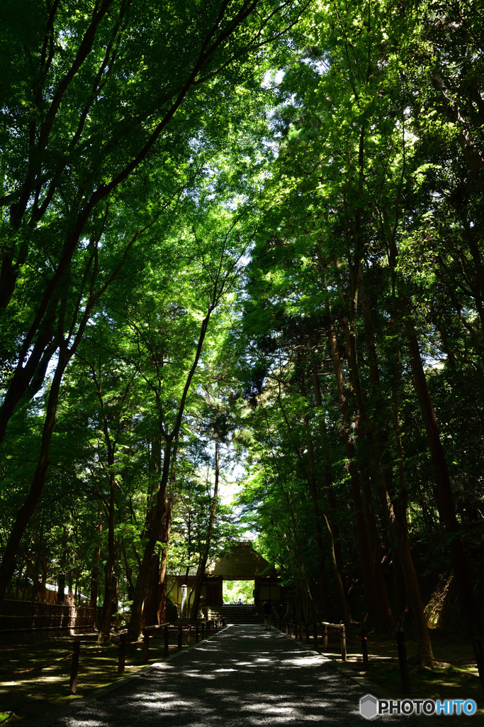 静寂の中に