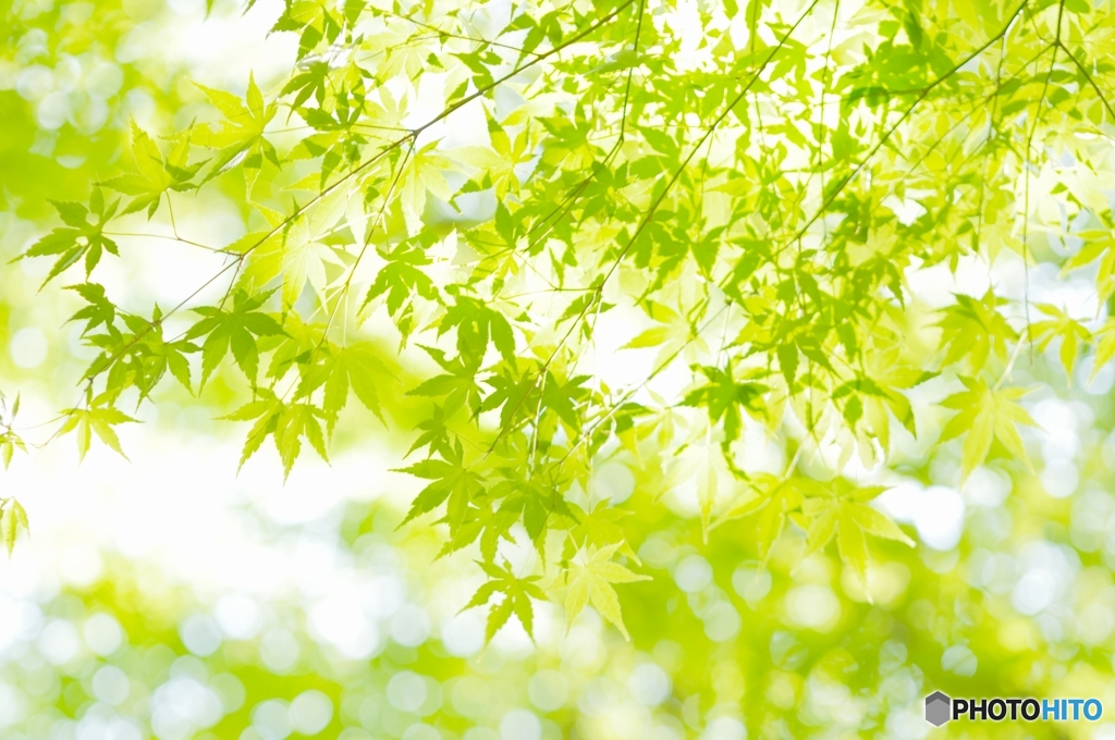 夏色1