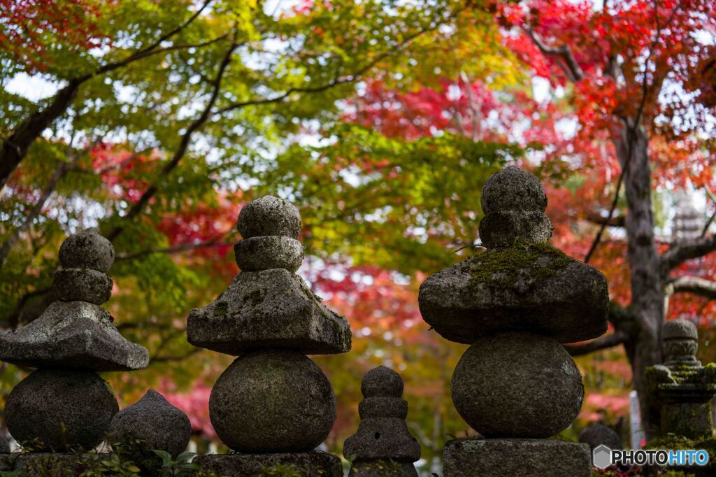 あだし野念仏寺