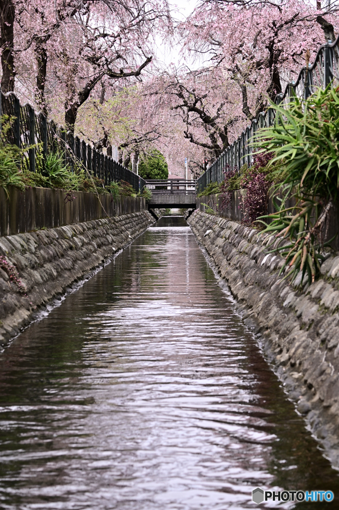 二ヶ領用水