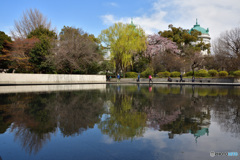 法隆寺宝物館の水鏡