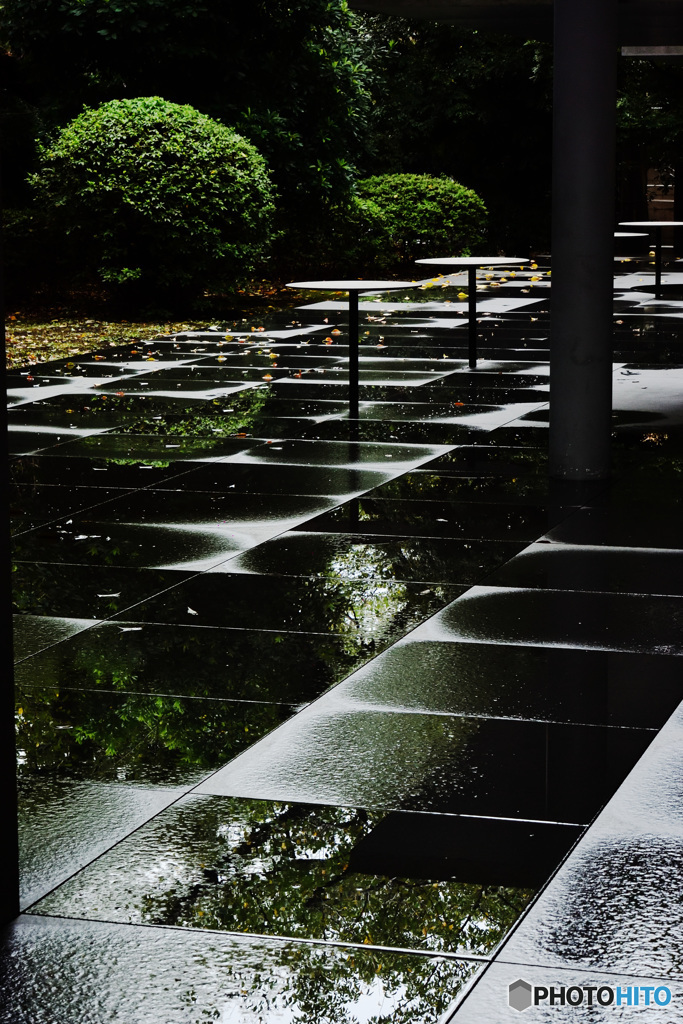 雨上り