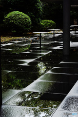 雨上り