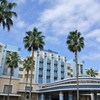 Mihama 1
