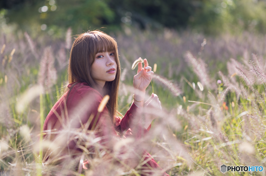 原っぱ