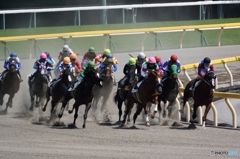 春の東京競馬２